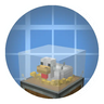 Create:Egg Production