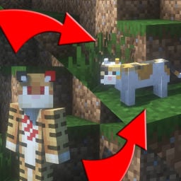 Gamingbarn's Morphs
