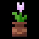 Fresh Flower Pots: Rotated