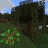 Replant Swamp Trees