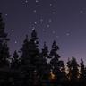 Zephyr Starlight